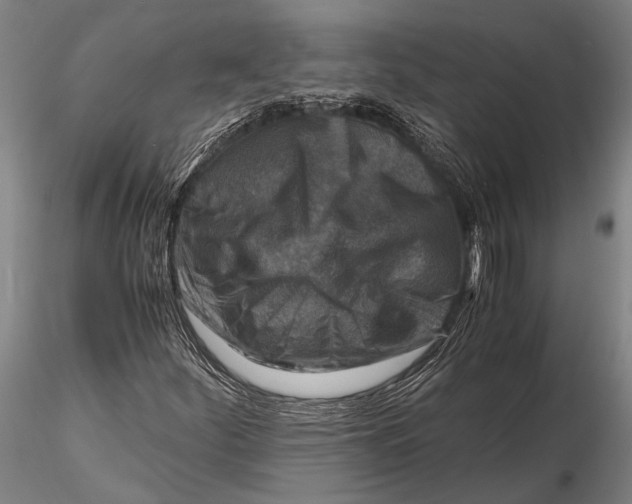 X0000116141252200912141124