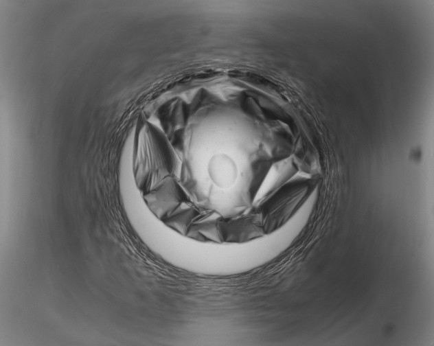 X0000116141253200912141124