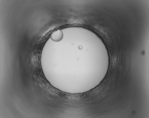 X0000116141254200912141124