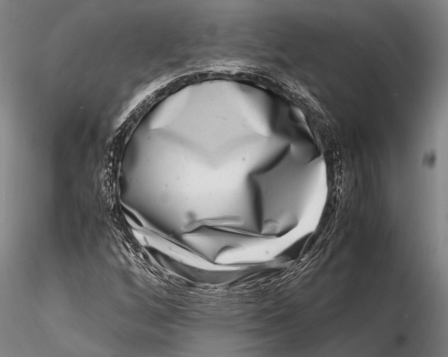 X0000116141256200912141124