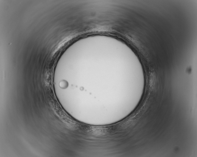 X0000116141258200912141124