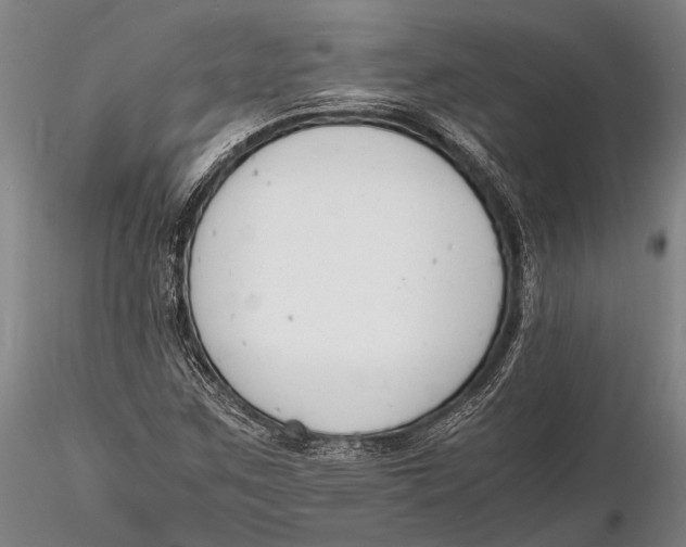 X0000116141259200912141124