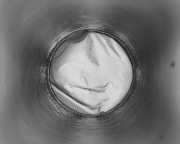 X0000116141260200912141124