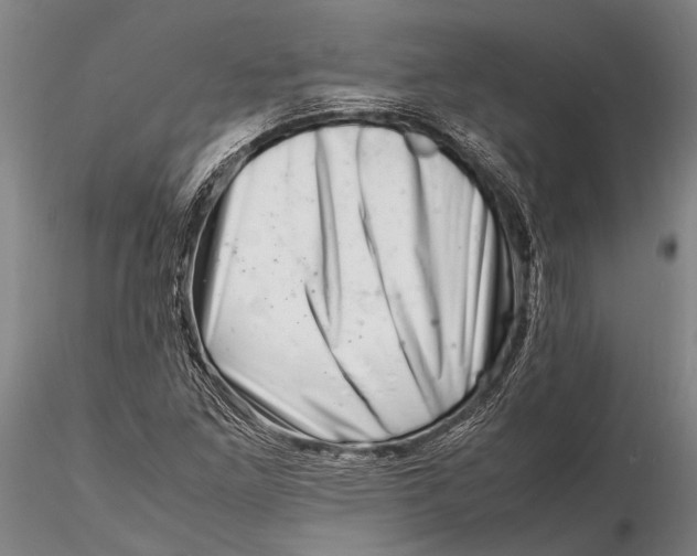 X0000116141261200912141124