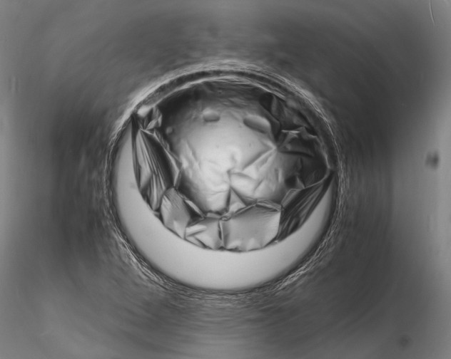 X0000116141264200912141124