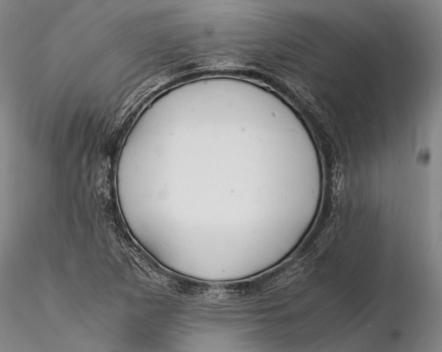 X0000116141265200912141124