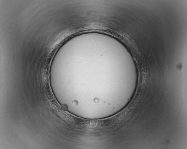 X0000116141266200912141124