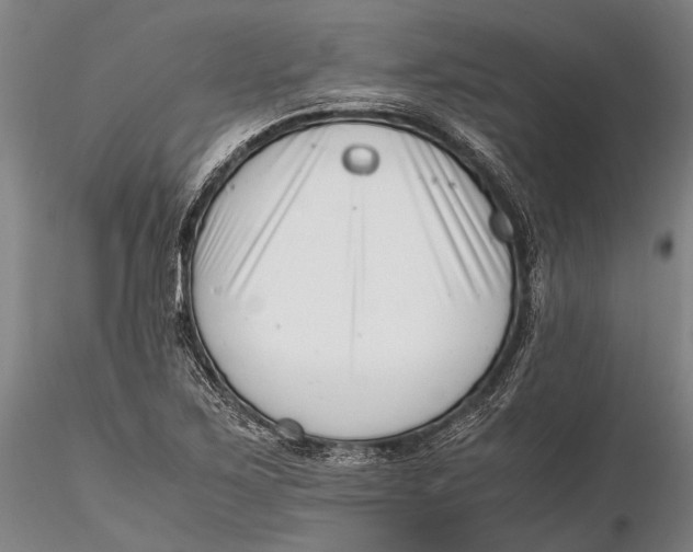 X0000116141267200912141124