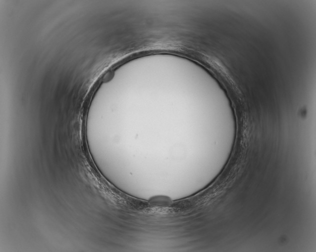 X0000116141268200912141124