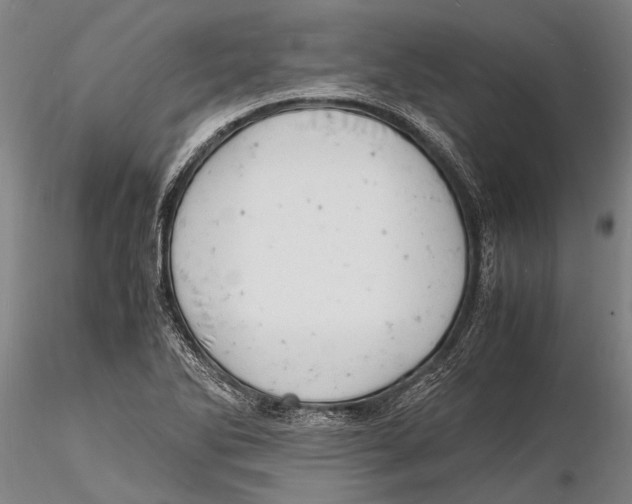 X0000116141270200912141124