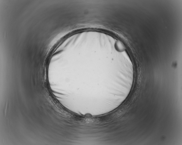 X0000116141271200912141124