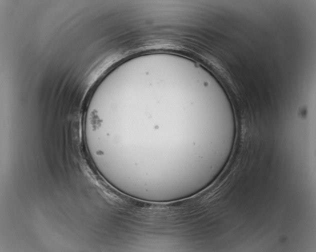 X0000116141274200912141124