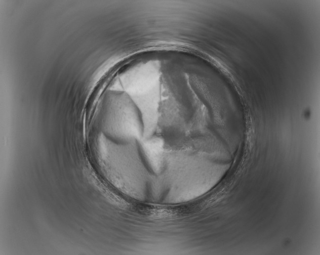 X0000116141275200912141124