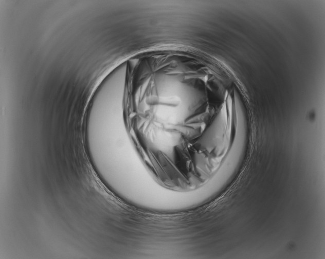 X0000116141276200912141124