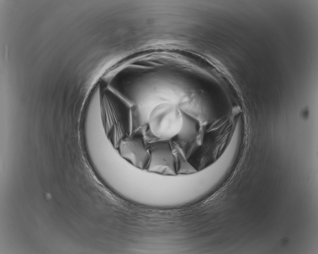 X0000116141277200912141124