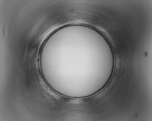 X0000116141278200912141124