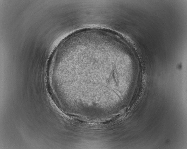 X0000116141279200912141124