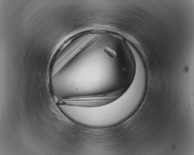 X0000116141280200912141124