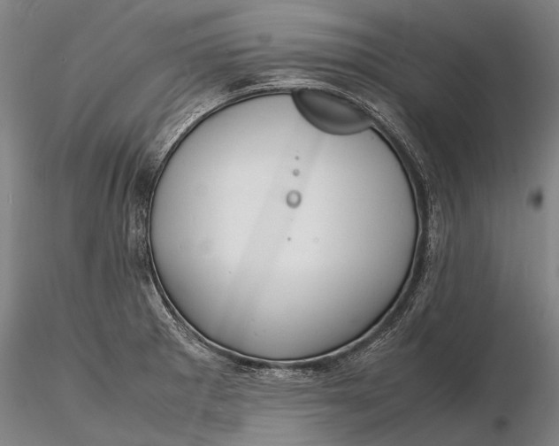 X0000116141281200912141124