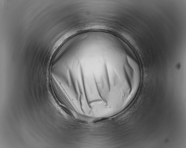 X0000116141282200912141124