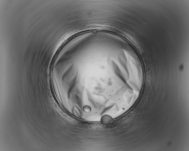 X0000116141283200912141124