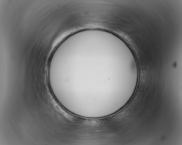 X0000116141286200912141124