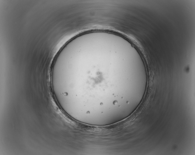 X0000116141287200912141124