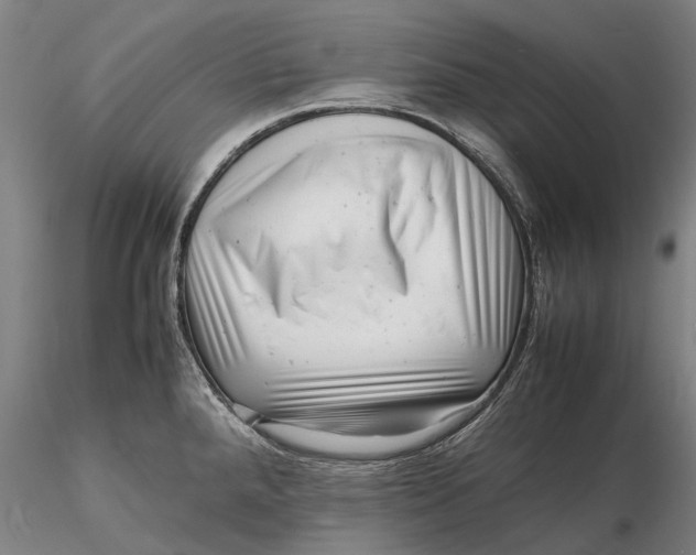 X0000116141288200912141124