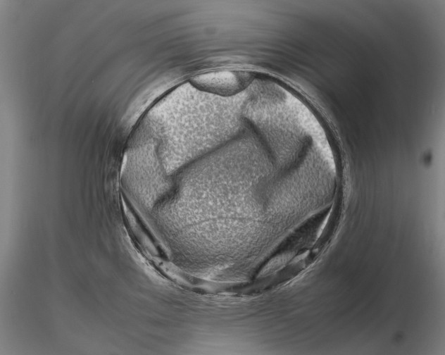 X0000116141289200912141124