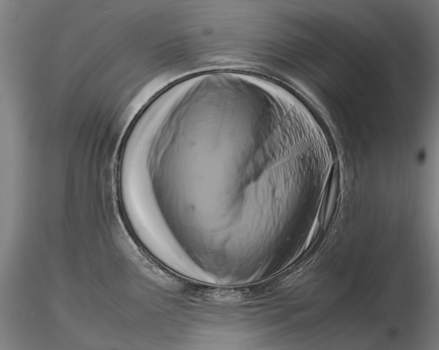 X0000116141291200912141124