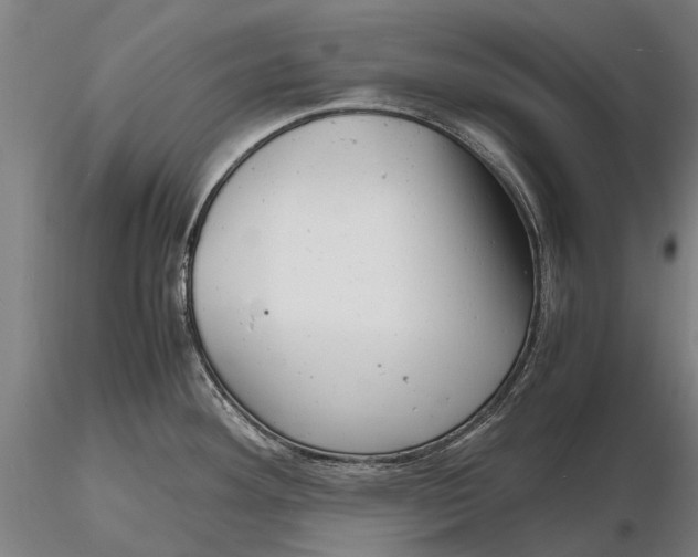 X0000116141292200912141124