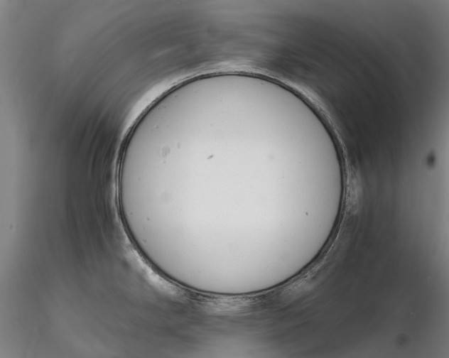 X0000116141294200912141124