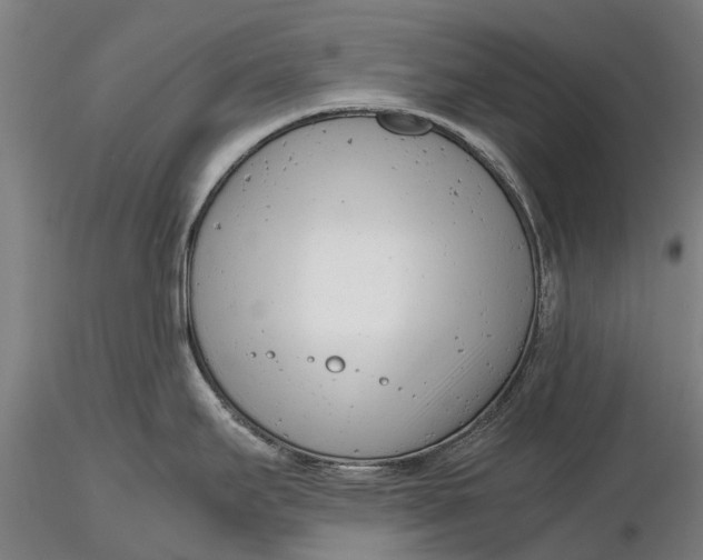 X0000116141295200912141124