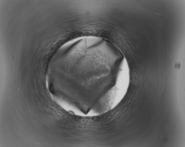 X0000116141297200912141123