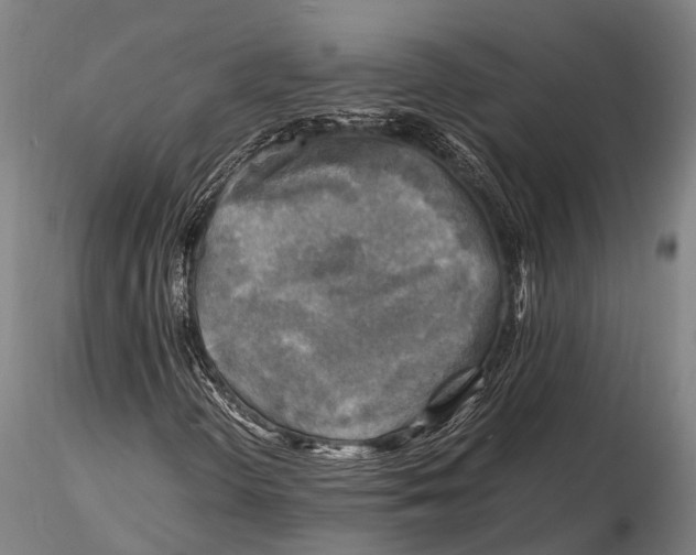 X0000116141298200912141123