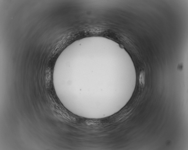 X0000116141299200912141123