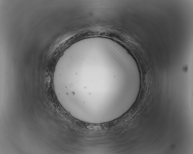 X0000116141302200912141123