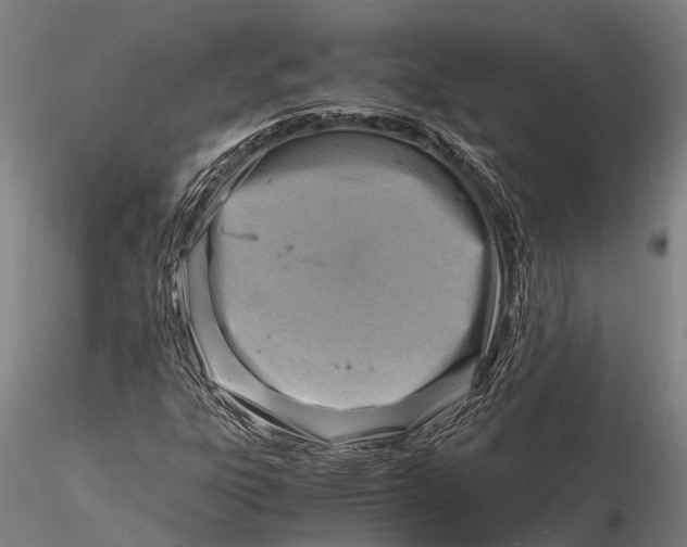 X0000116141303200912141123