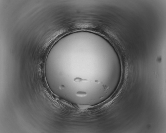 X0000116141305200912141123