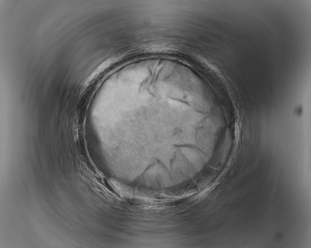 X0000116141306200912141123