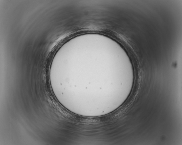 X0000116141307200912141123