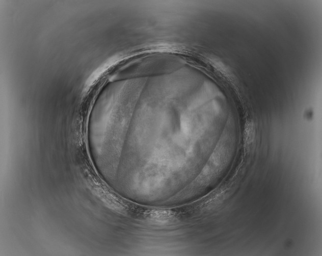 X0000116141310200912141123