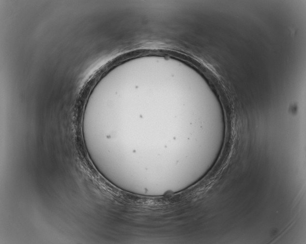 X0000116141311200912141123