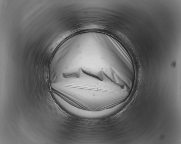 X0000116141321200912141124