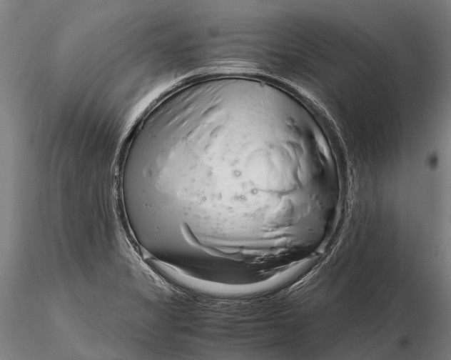 X0000116141325200912141124