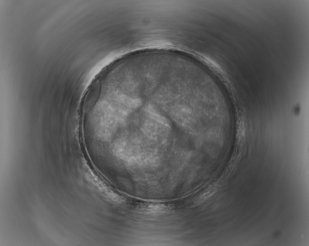 X0000116141326200912141124