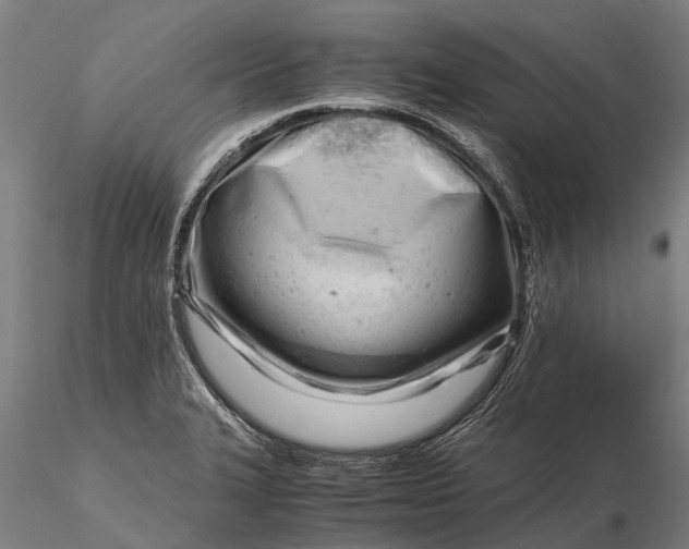 X0000116141327200912141124