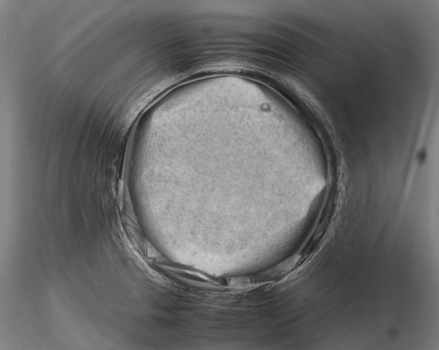 X0000116141329200912141124