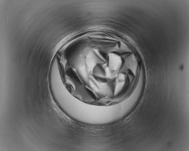 X0000116141330200912141124