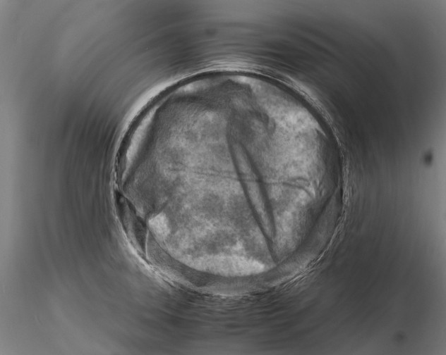 X0000116141331200912141124